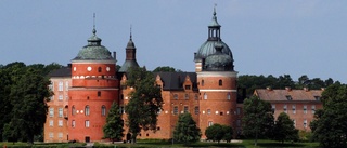 Stort pådrag vid Gripsholms slott