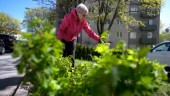 Mest bostadstillägg till pensionärer i Norrköping