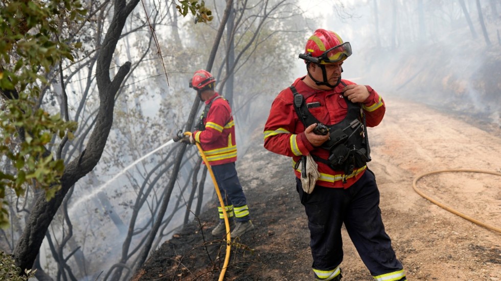 Tusentals brandmän fortsätter bekämpa bränderna i Portugal. Vädervarningen kan komma att förlängas, enligt premiärministern.