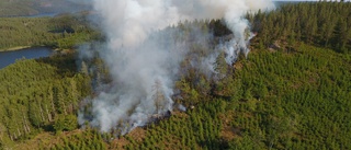 Skogsbrand under kontroll • räddningstjänsten planerar att lämna