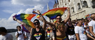 USA beskyller Orbán för hat mot homosexuella