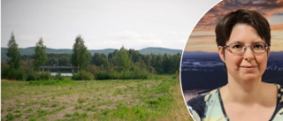 Älvsbyn satsar på ny slåtteräng • Drygt 400 000 kronor till projektet