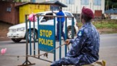29 döda i protester i Sierra Leone