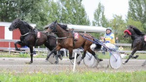 Roger Nilssons hästar dominerade Bygdetravet - siktar på championatet i Skellefteå 