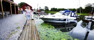 Det svala sommarvädret märks i gästhamnarna