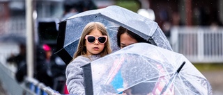 Bildextra: Tusentals åskådare trotsade regnet på Bodentravet – fastnade du på bild i vimlet? 