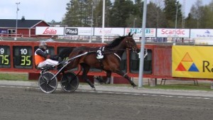 Skellefteå AIK-ikonens succéköp jagar midsommarseger på hemmaplan: "Det är en sjukt fin häst"
