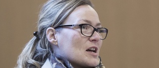 Hagerström (MP): "Och så växer skammen"