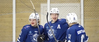 Hockeytrean nästa för Gnesta IK