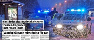 Häktad för grovt rån