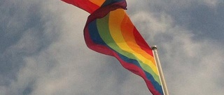 Gotlands poliser Pride-flaggar