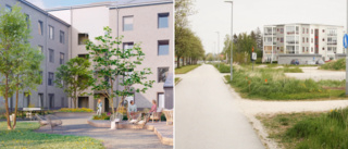 Storsatsande bolag vill bygga 142 studentlägenheter i Visby • "Stor brist – äntligen på gång"