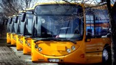 Gratisbussar över hela Gotland