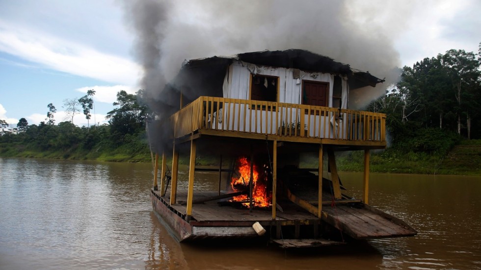 Brasilianska myndigheter satte förra året eld på muddringsbåtar som användes för illegal guldutvinning i Amazonas oersättliga marker. Arkivbild.