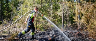 Gräsbrand i Stånga – flera stationer var på plats