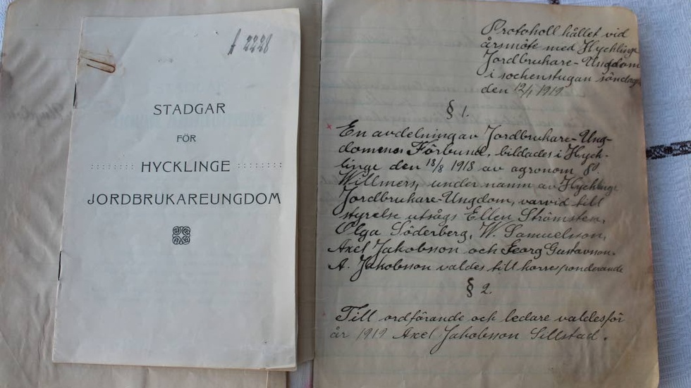 Föreningens stadgar och första protokollet från 12 januari 1919
