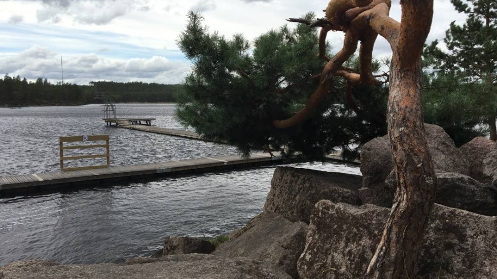 Hopptornet vid Hesjön står på tur för en renovering och mycket annat planeras också inför sommarens badsäsong.

