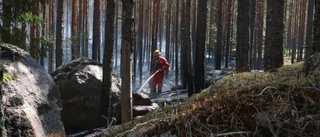 Lugnare läge för skogsbränderna
