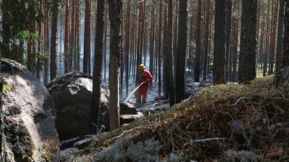 Släckningarbetet vid skogsbränderna börjar gå in på slutspurten. Här vid Välen räknar man med att avsluta på måndagskvällen och i Tönshult under tisdagen.