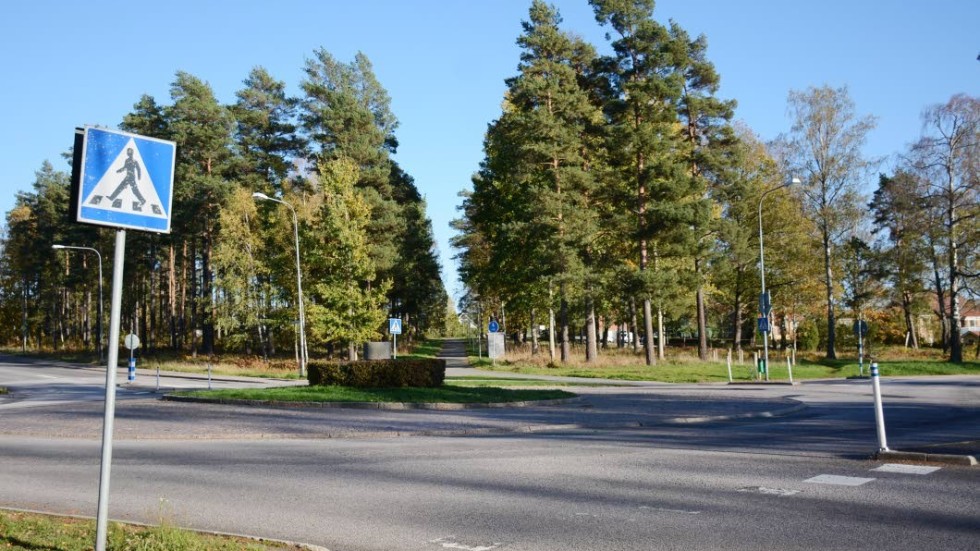 Det är skogsområdet i korsningen Lundgatan – Prästgårdsgatan som kommunen vill planlägga för närbutik, mack eller någon annan handelsinriktad service.