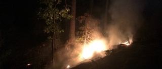 Blixtnedslag orsakade skogsbrand