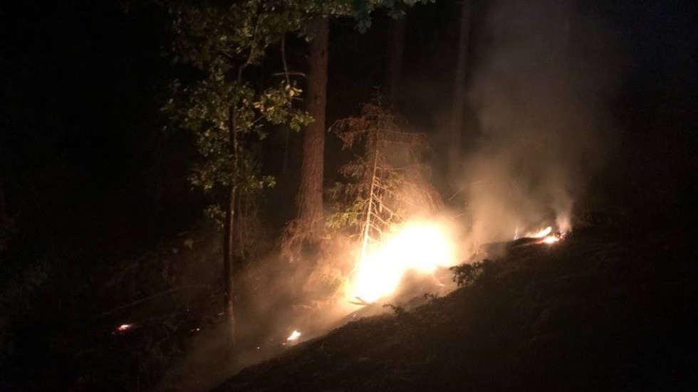 Det brann kraftigt i skogen, när räddningstjänsten kom till platsen. Men tack vare att markägaren upptäckte branden tidigt hann den inte sprida sig till något större område.
