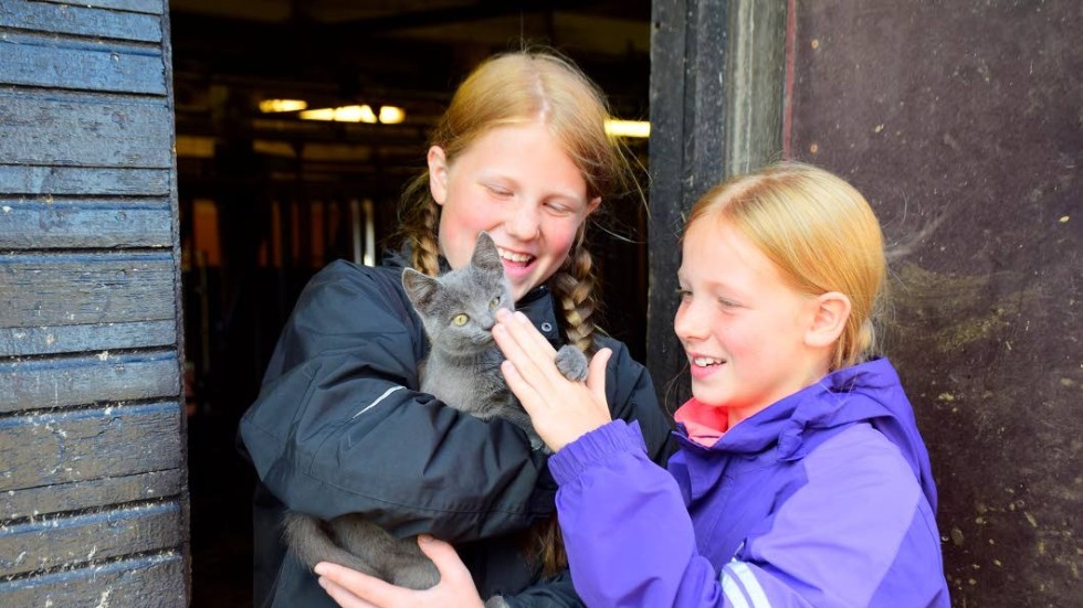 Astrid och Ella Styrbjörn älskar djur.

"Det är därför jag länge velat bli bonde" berättar Astrid.