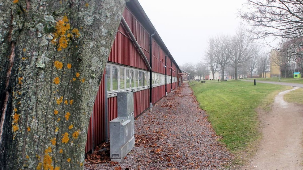 Råssnässkolan ska rivas och sannolikt bli äldreboende och förskola.