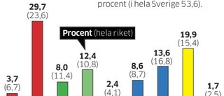 Så här röstade väljarna i Åtvidaberg