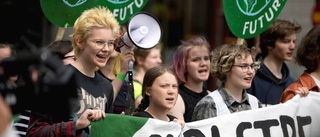 Utlys klimatnödläge i Linköping