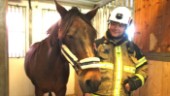 Räddningstjänsten på ridskolan – övar sig i hästhantering: "Det är inte bara att öppna dörren och släppa ut dem om det börjar brinna"