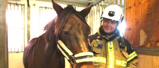 Räddningstjänsten på ridskolan – övar sig i hästhantering: "Det är inte bara att öppna dörren och släppa ut dem om det börjar brinna"