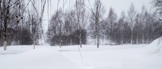 Så länge fortsätter snöfallet