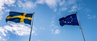 Dags för svenskt ledarskap i EU