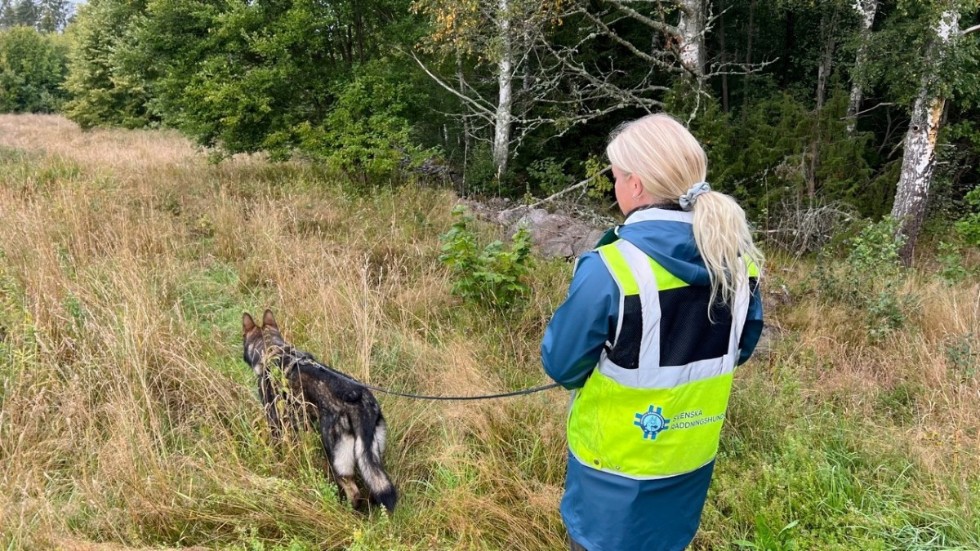 Ett ekipage från frivilligorganisation Svenska Räddningshundar. I helgen ska man med hundarnas hjälp fortsätta söka efter den kvinna som försvann i närheten av Björksebo för tre månader sedan.