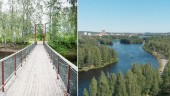Förslag: Gångbro mellan holmar i älven – politikerna positiva till utveckling • Pågår en studie