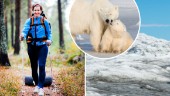 Lisa, 49, överlevde cancern – nu är hon uttagen till expedition på Grönland: "Avskurna från omvärlden och hänvisade till varandra"