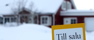 Rekordhöga villapriser i Piteå 2015