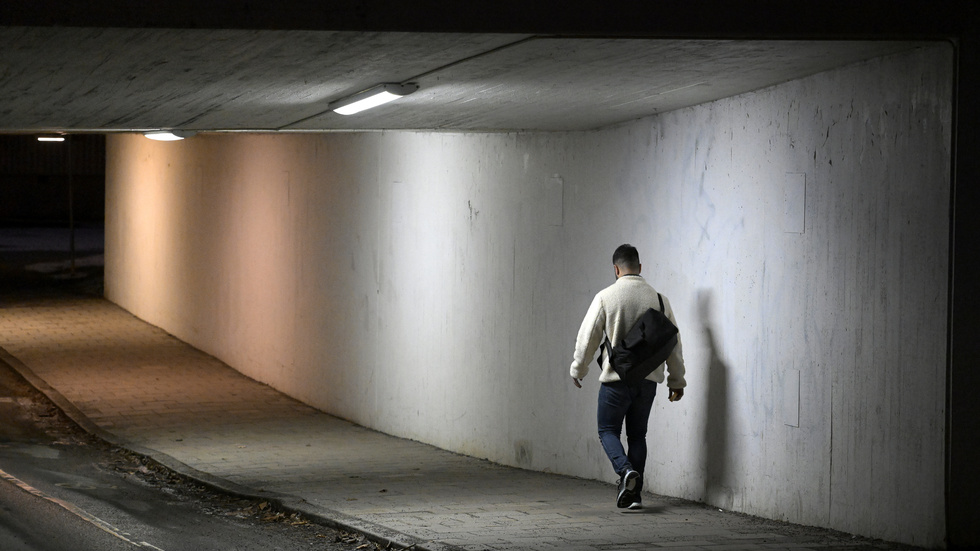 Företagen kommer med stor säkerhet att fortsätta öka sin användning av bakgrundskontroller och belastningsregister. 
Staten kan agera som motvikt och staka ut vad som är lämpligt och rimligt.