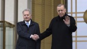 Erdogan har godkänt ratificering av Finland