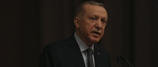 Erdogan: Spannmålsavtal förlängs