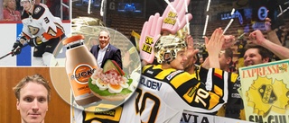 NHL-stjärnan hyllar viktiga tiden i AIK: ”Roligaste jag upplevt” • Förklarar historien om räkmackan, en pucko och Lasse Johansson