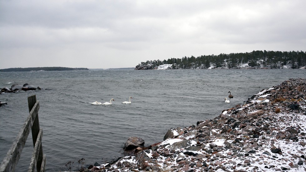 Fem personer hamnade i det kalla vattnet utanför Lilla Rätö på fredagsförmiddagen. Bilden tagen på plats längre söderut.