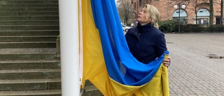 Ukrainska flaggan hissades på årsdagen av kriget 