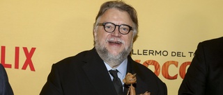 Guillermo del Toro: "Pinocchio" ingen barnfilm