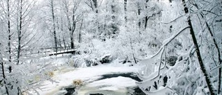 Flingan av snö som bådar om tö