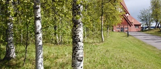 Inte bara hus - även träd flyttas i Kiruna