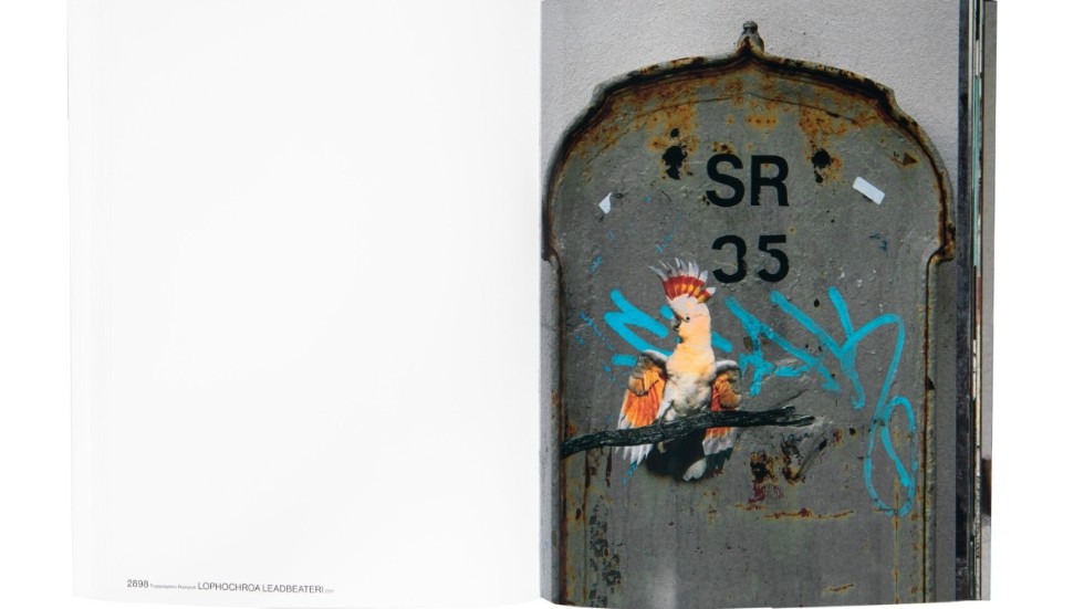 Ett uppslag ur Erik Berglins bok "The Bird project 2006–2917", som tilldelas Svenska Fotobokspriset. Pressbild.