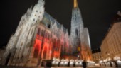 Hackerattack väckte Wien