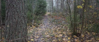En varierad skog skapas i Håbo